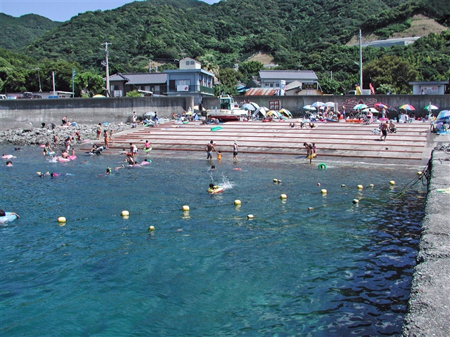 井田の海